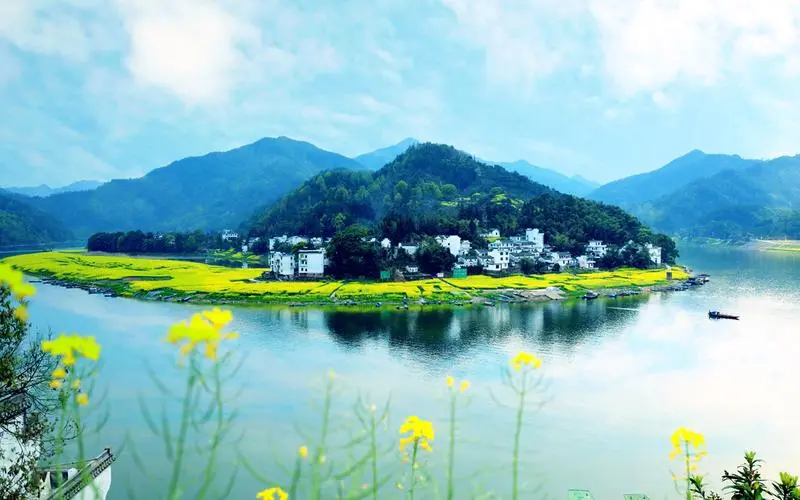节能高标准高效